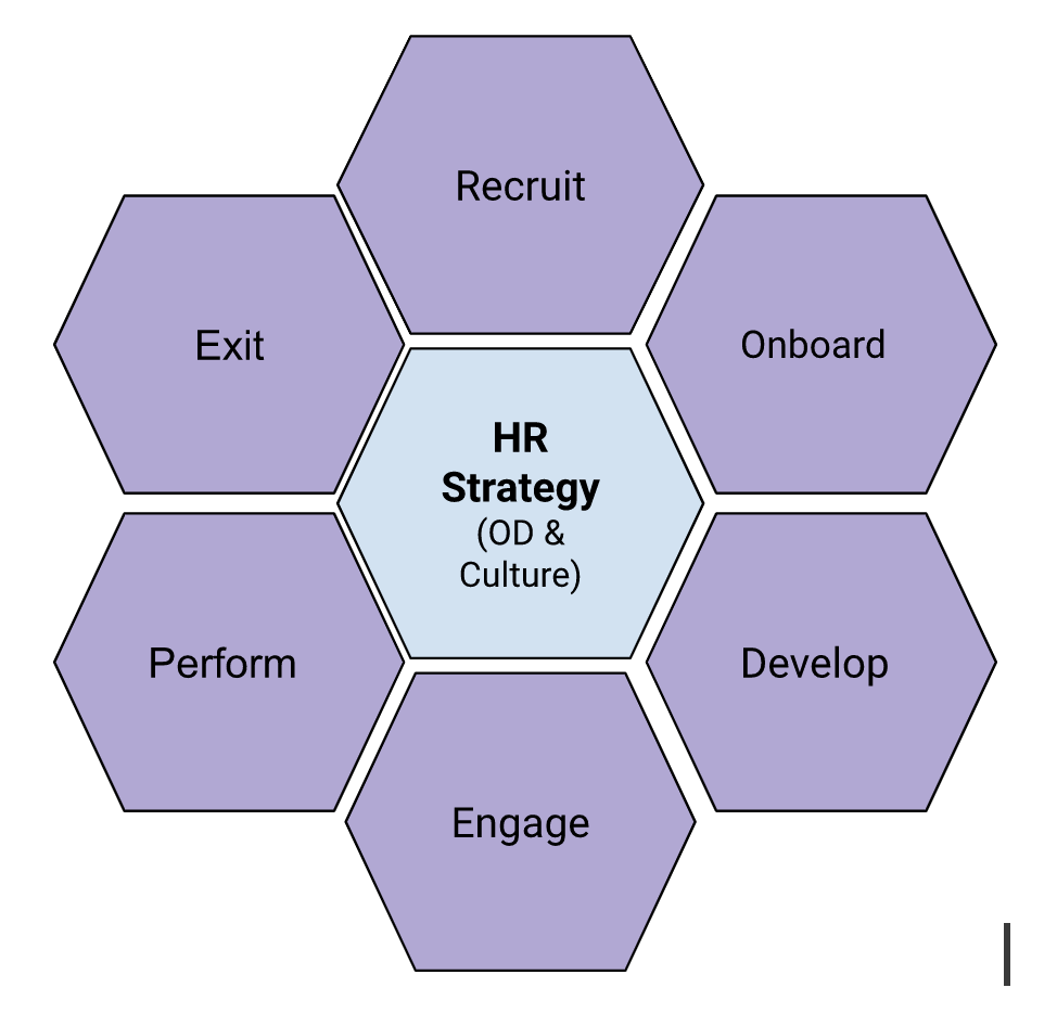 HR Strategy 6 steps